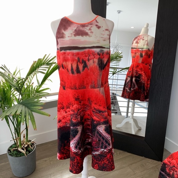 Ted Baker Dresses & Skirts - Ted Baker Skater dress Bridge to nowhere print size 10